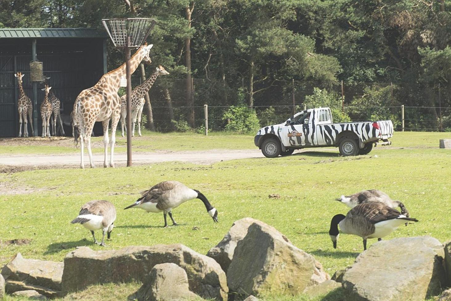 Camping Marvilla Parks Kaatsheuvel - Roan Exterior foto
